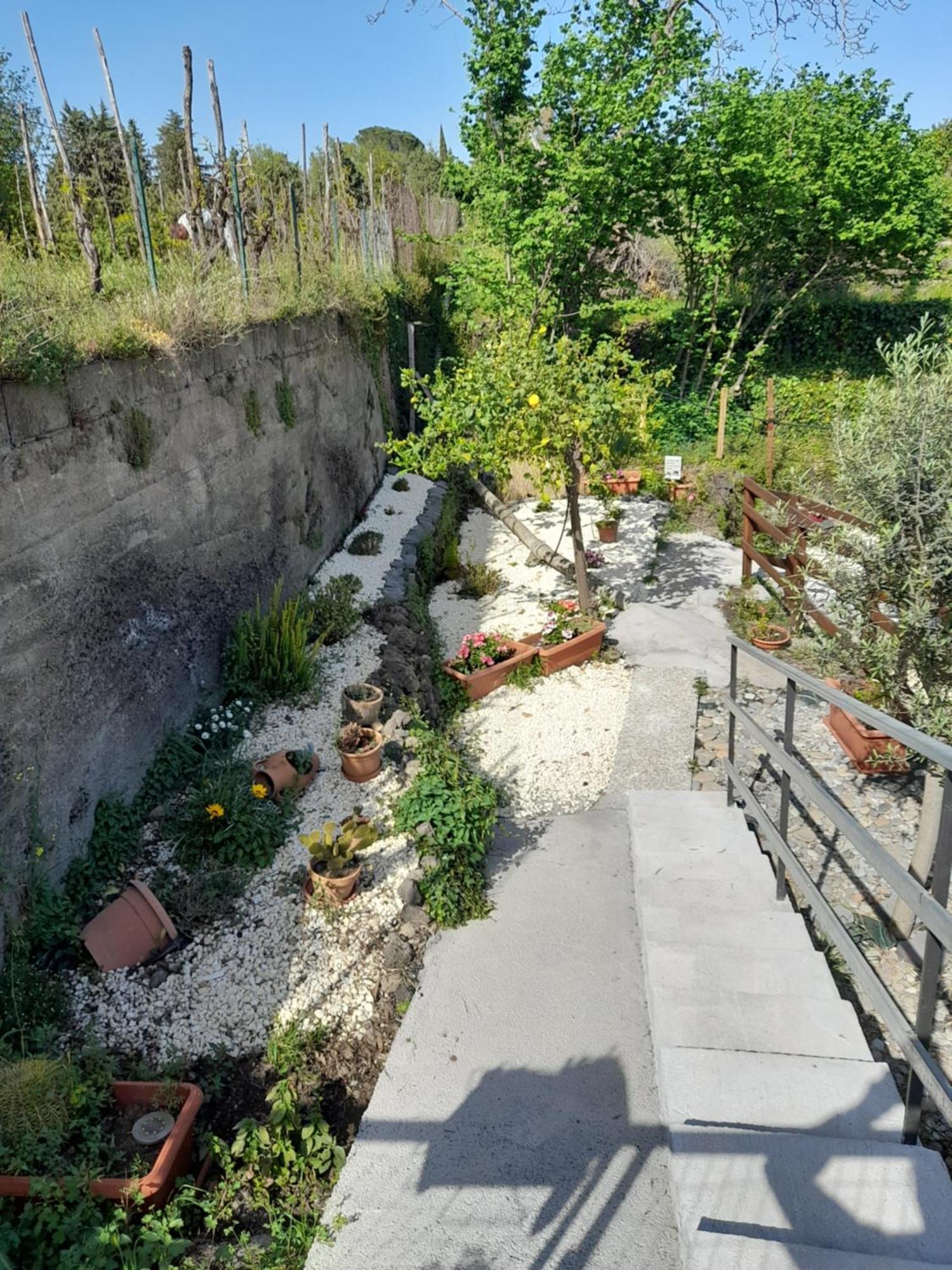 הוילה זפראנה אטניאה Sikelia Etna House מראה חיצוני תמונה